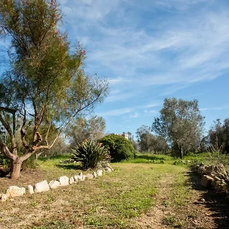 Oasis Torre Lapillo