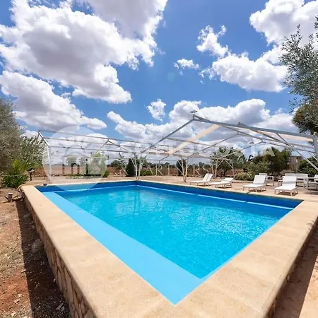 Oasis